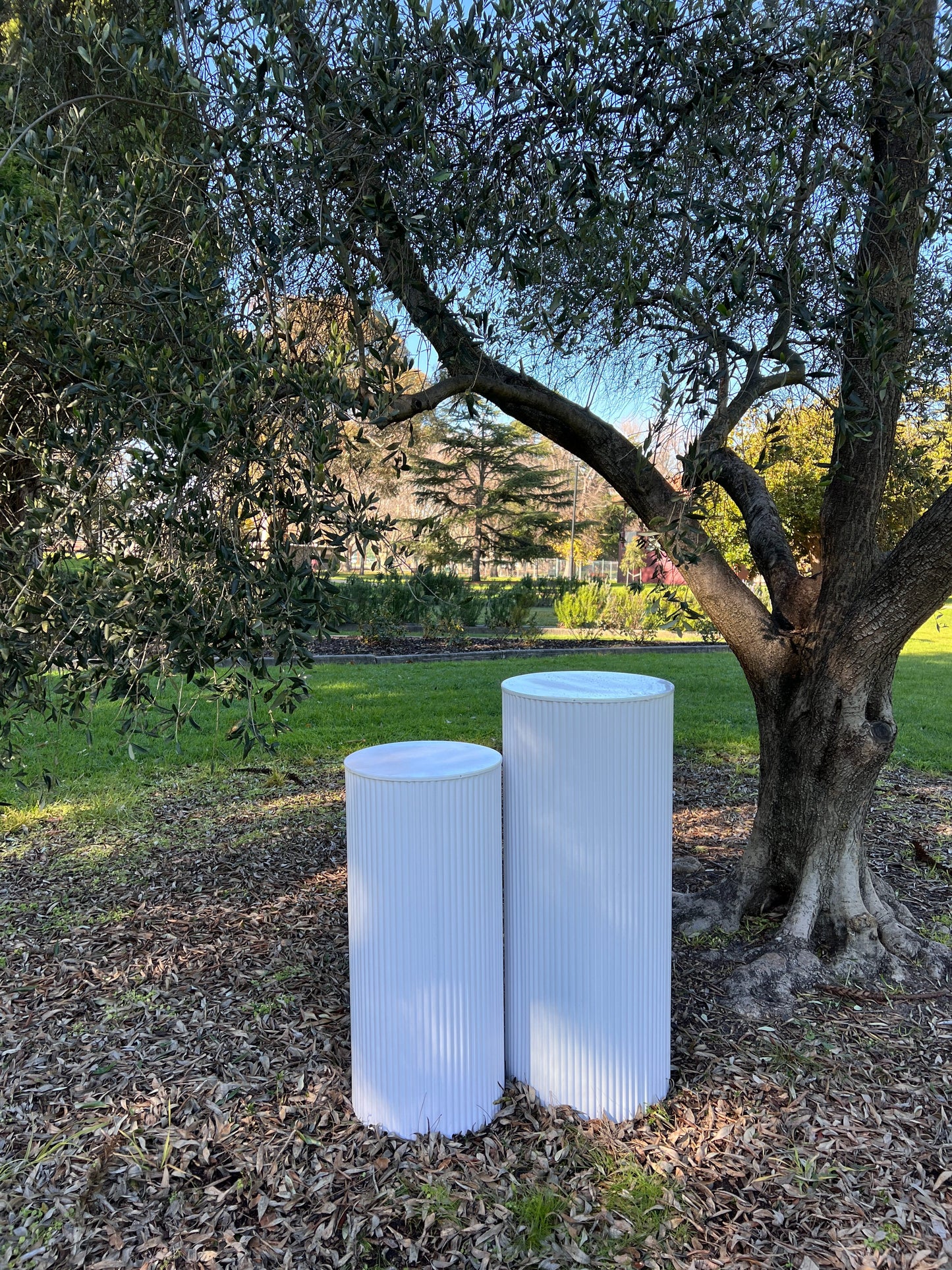 Standard plinth set consisting of two plinths against olive tree backyard